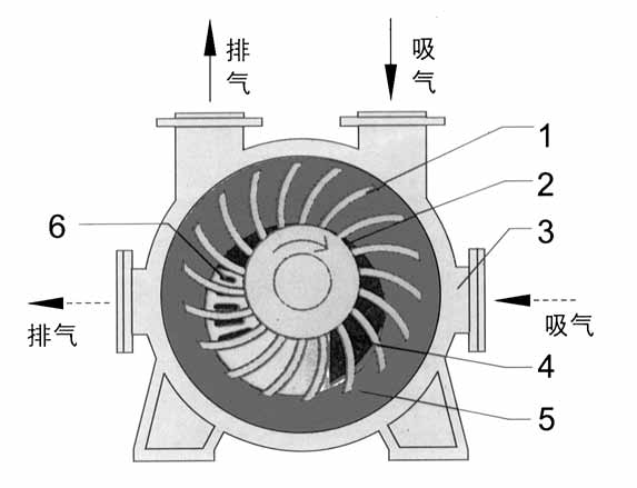 2BE1水环式万搏（中国）结构图
